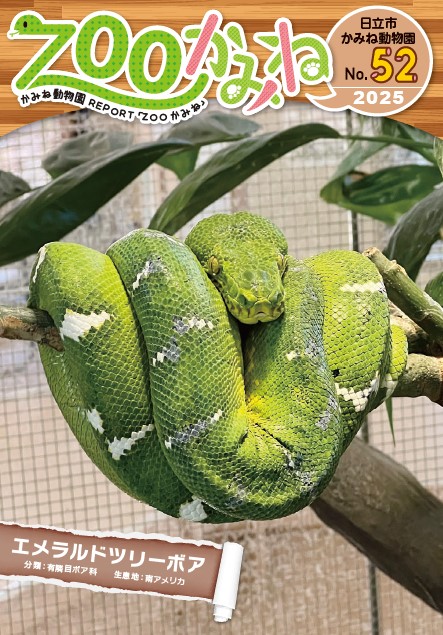 写真：「ZOOかみね」第52号表紙