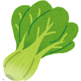 イラスト：チンゲン菜