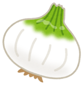 イラスト：新玉ねぎ