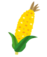 イラスト：とうもろこし