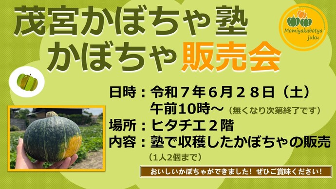 茂宮かぼちゃ塾販売会情報