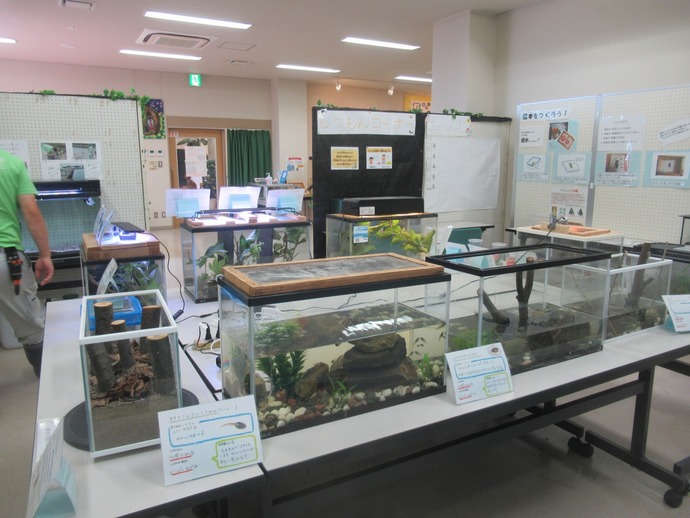展示風景