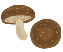 イラスト：きのこ