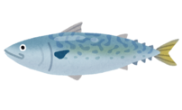 イラスト：さば