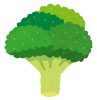 イラスト：ブロッコリー