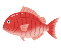 イラスト：赤魚