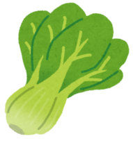 イラスト：チンゲン菜