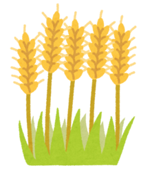 イラスト：大麦