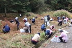 令和7年10月の湿地の様子