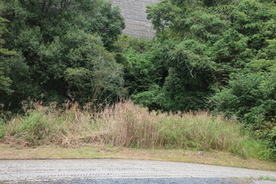 令和4年度整備活動の様子