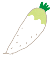 イラスト:大根のイラスト