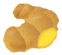 イラスト:しょうがのイラスト