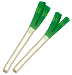 イラストのねぎ