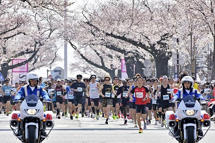 日立さくらロードレース