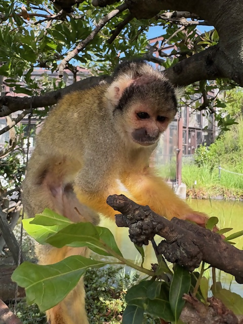 写真：ホンコン