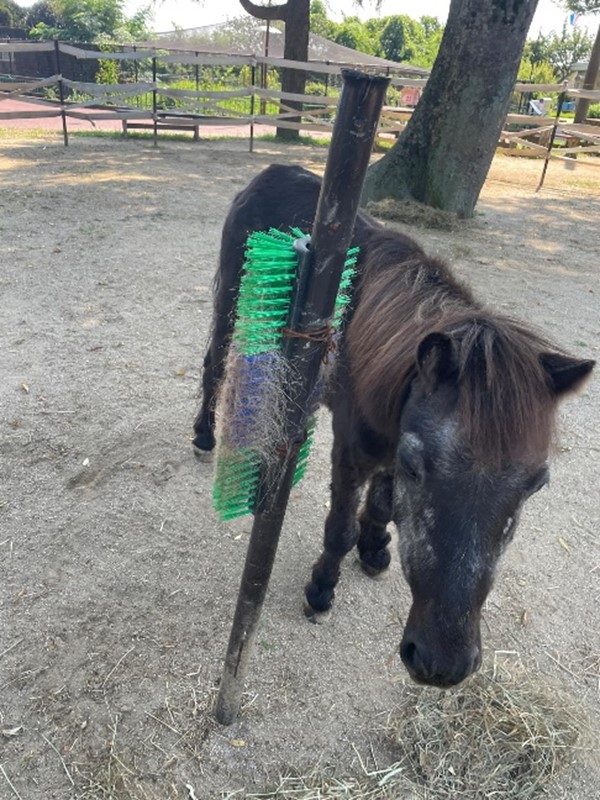 スクラッチブラシ