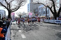 一斉にスタートするランナーの皆さん