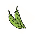 イラスト:さやえんどう