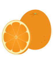 イラスト:【オレンジ】
