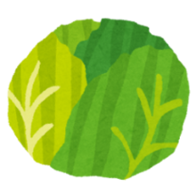 イラスト:【キャベツ】