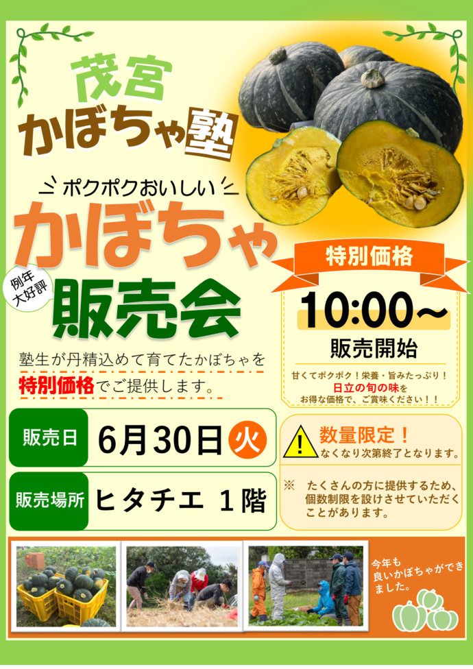 茂宮かぼちゃ塾販売会情報