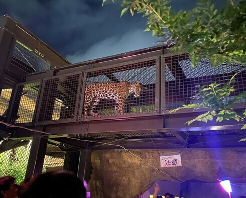 夜の動物園