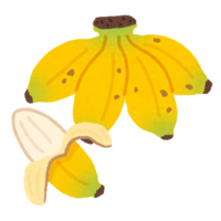 イラスト:バナナ