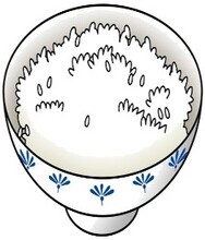 イラスト:ごはん