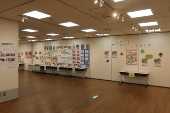 展示の様子3